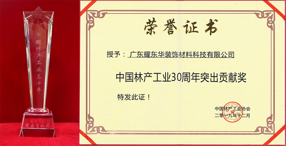 1576481030282716.jpg 突出贡献奖1.jpg