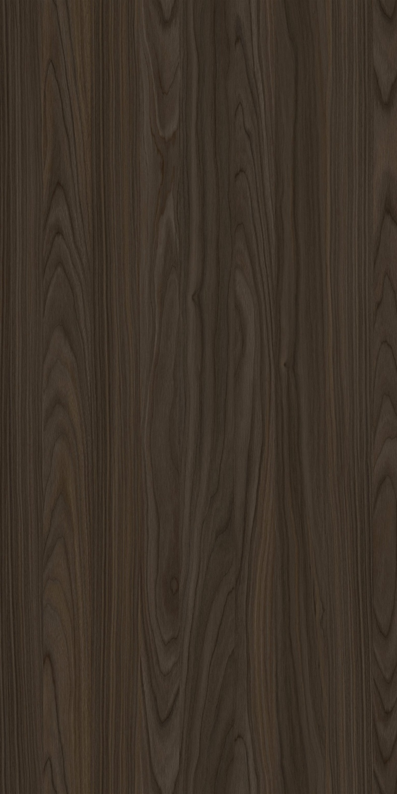 YDHTB1050 安科纳胡桃