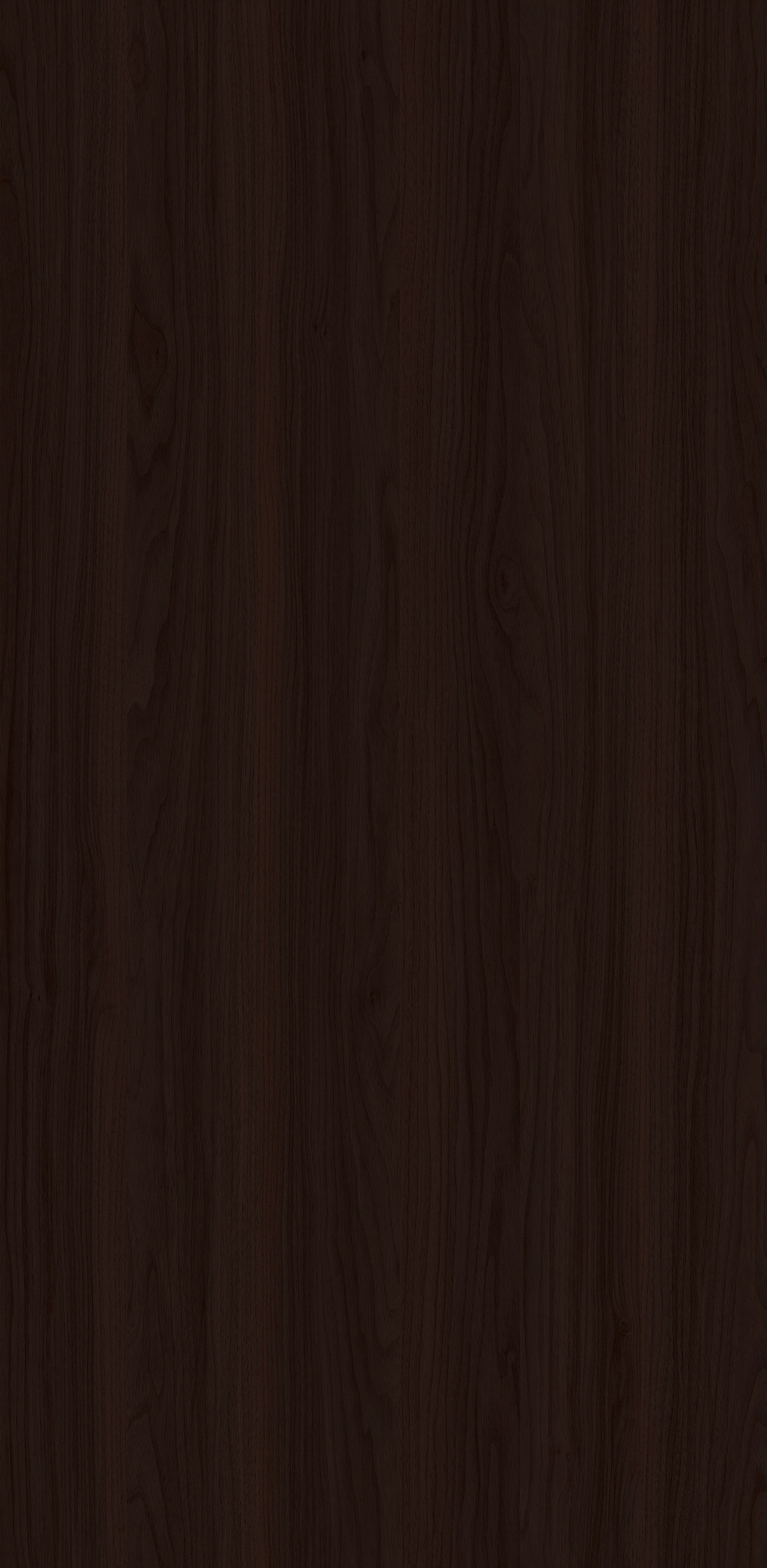 YDHTB1143 科蒂纳胡桃