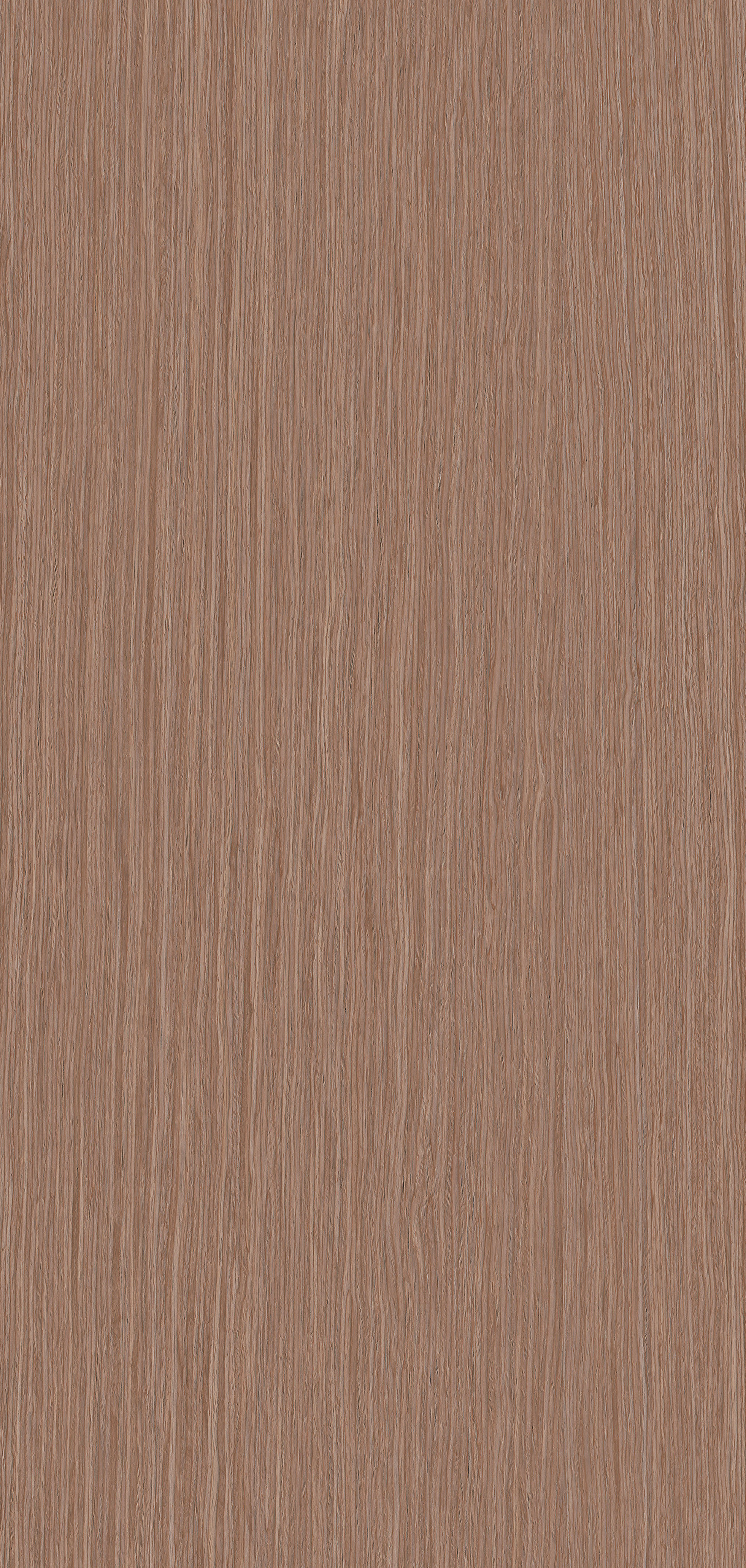 YDH405  康沃尔橡木