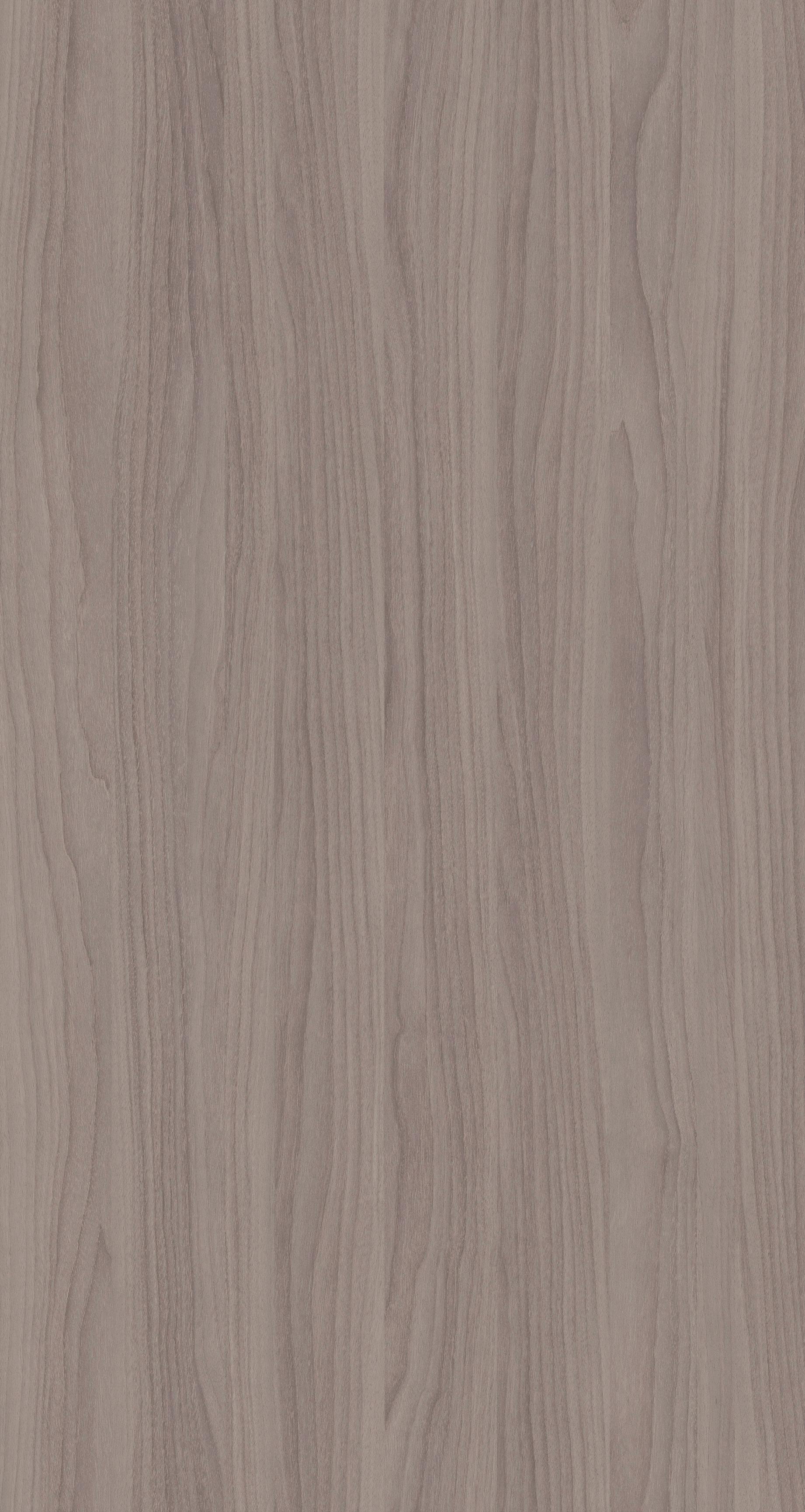 YDHTB1112 波特兰胡桃