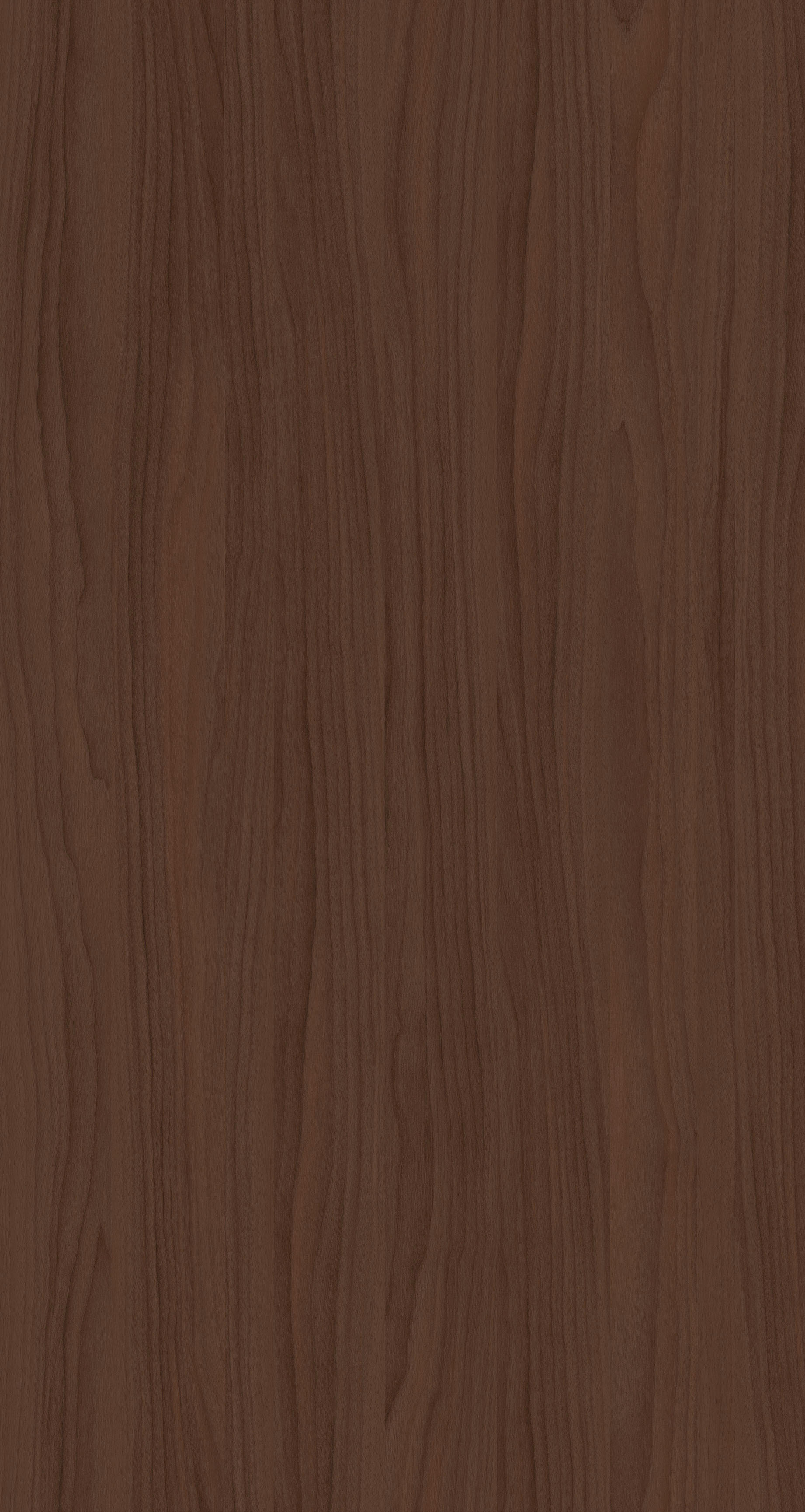 YDHTB1112 波特兰胡桃