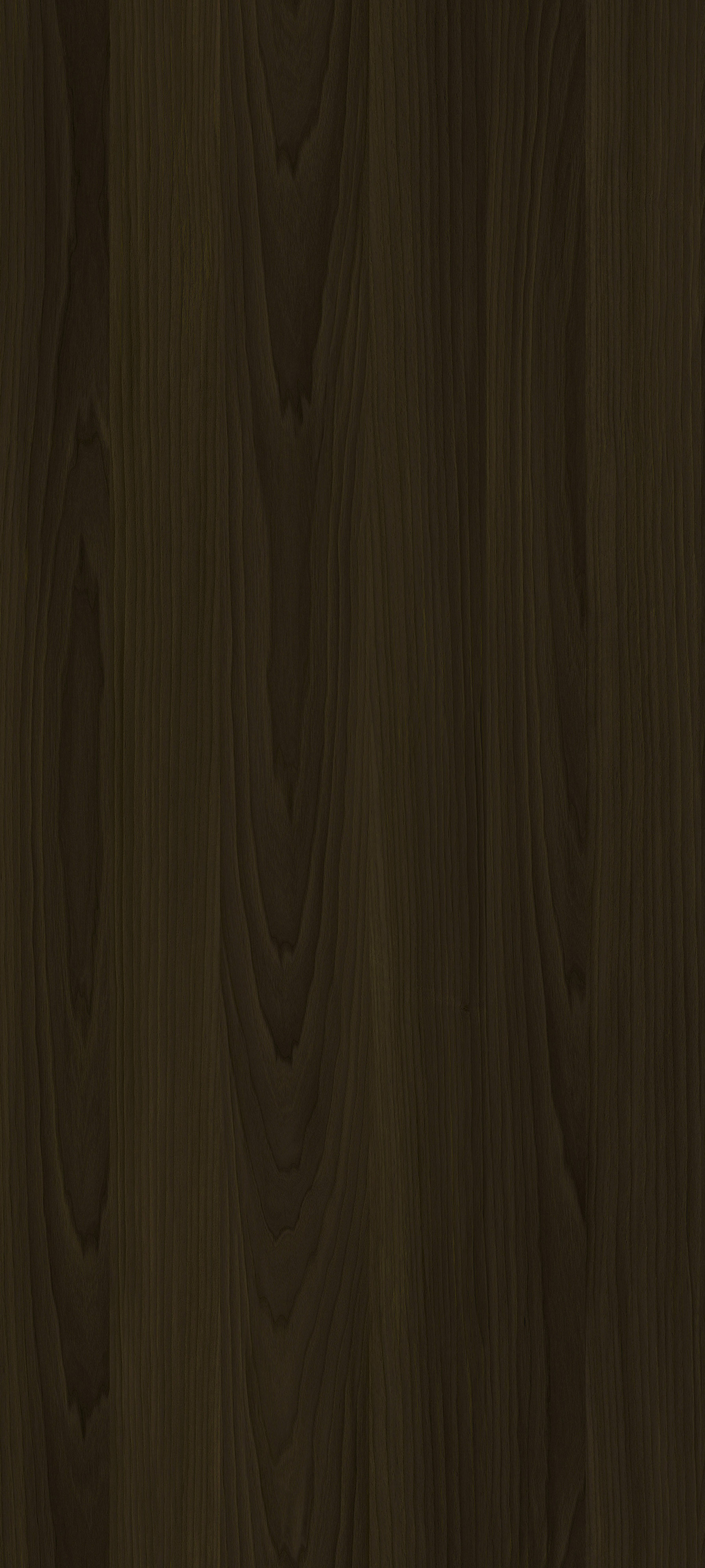 YDHTB1222 拉齐奥胡桃