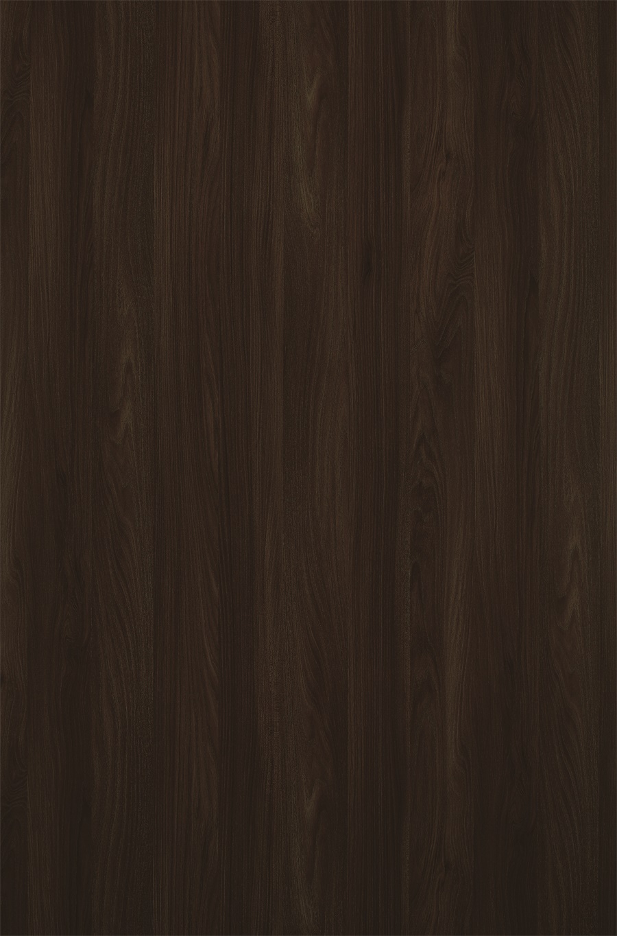 YDHTB904 陌兰棕胡