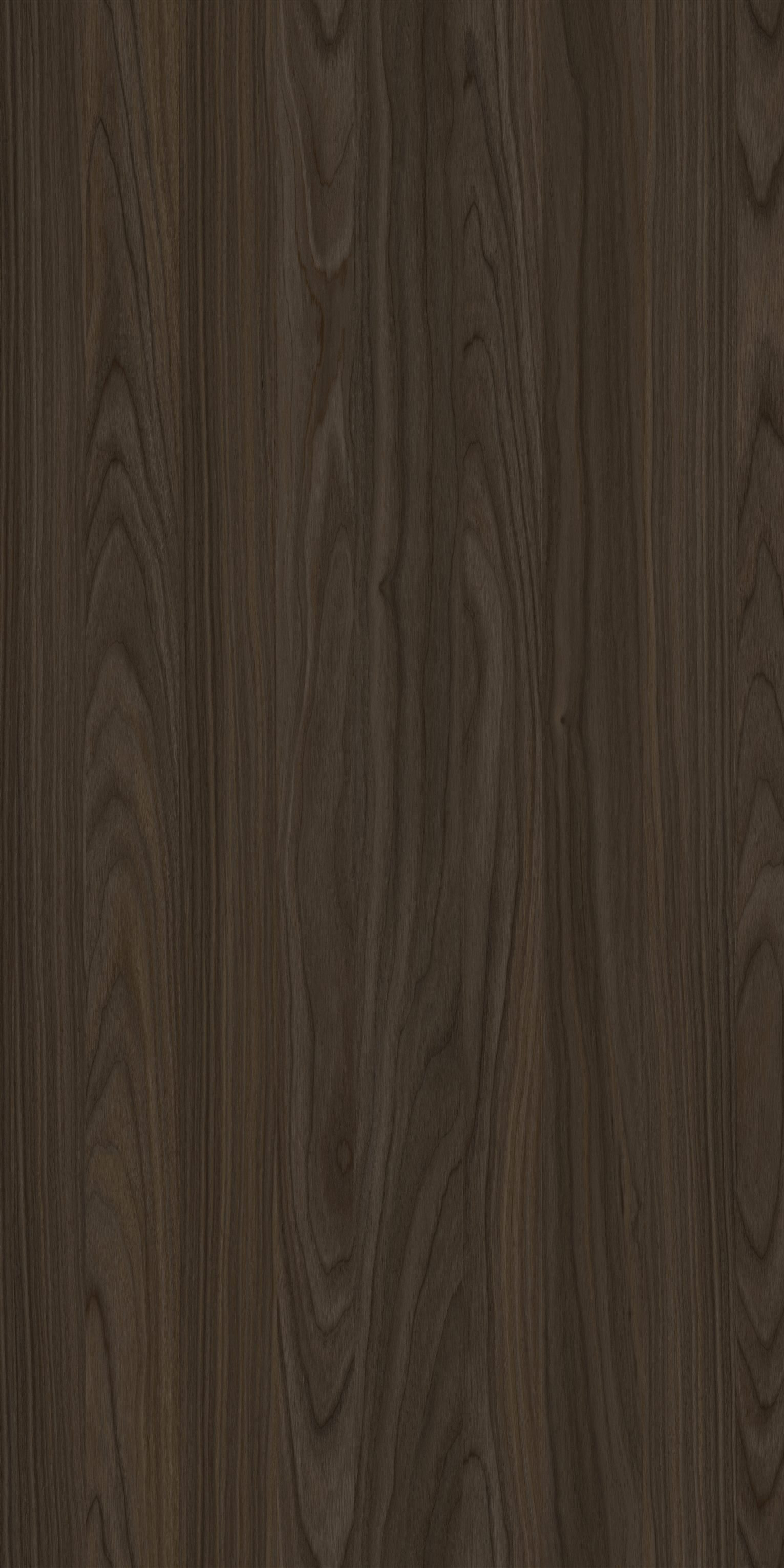 YDHTB1051 安科纳胡桃