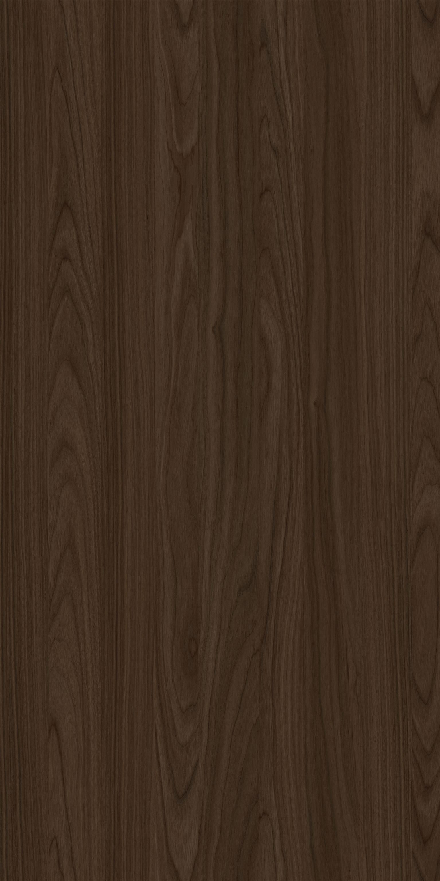 YDHTB1055 安科纳胡桃