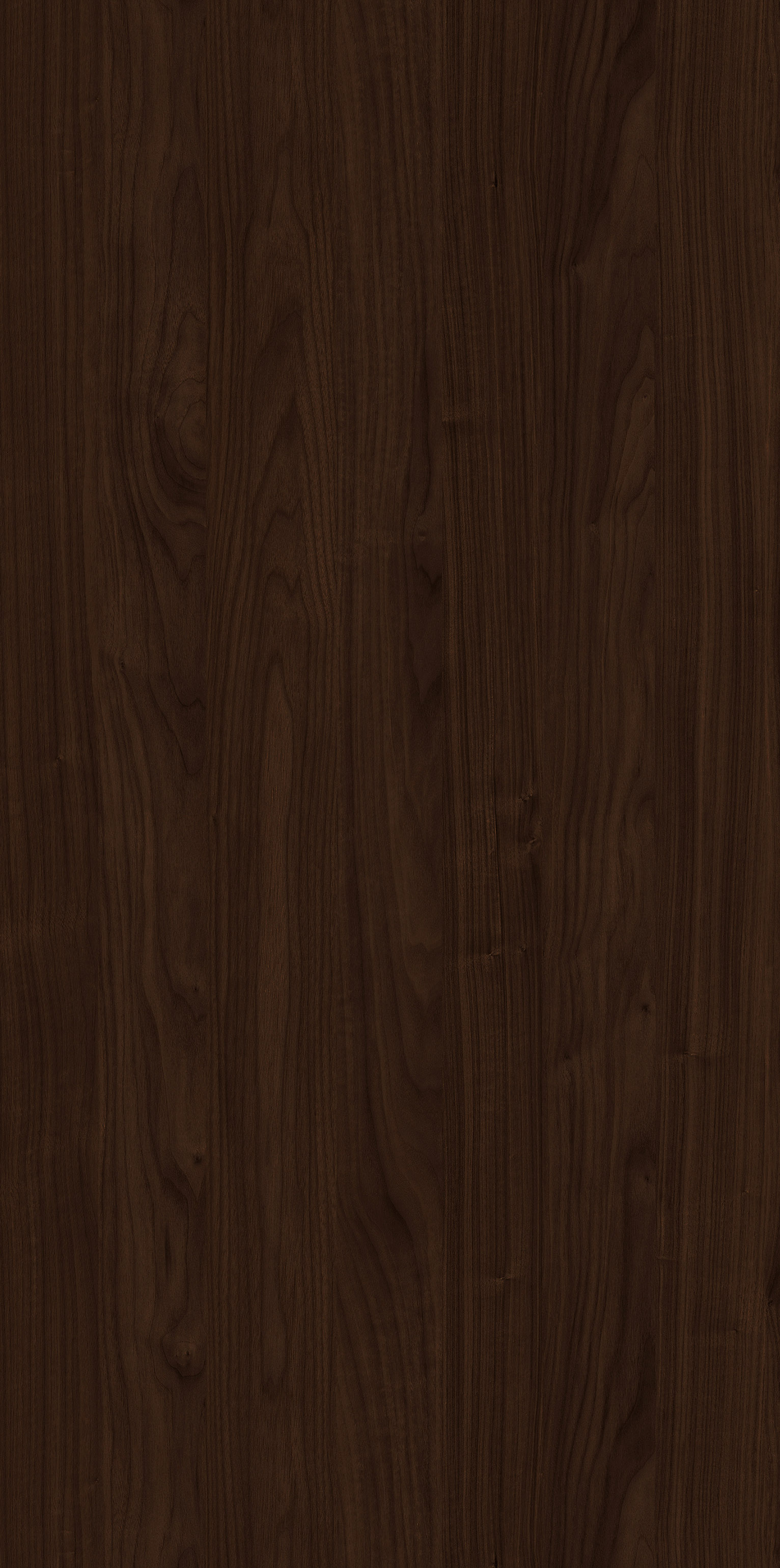 YDHTB1105 克拉洛胡桃 