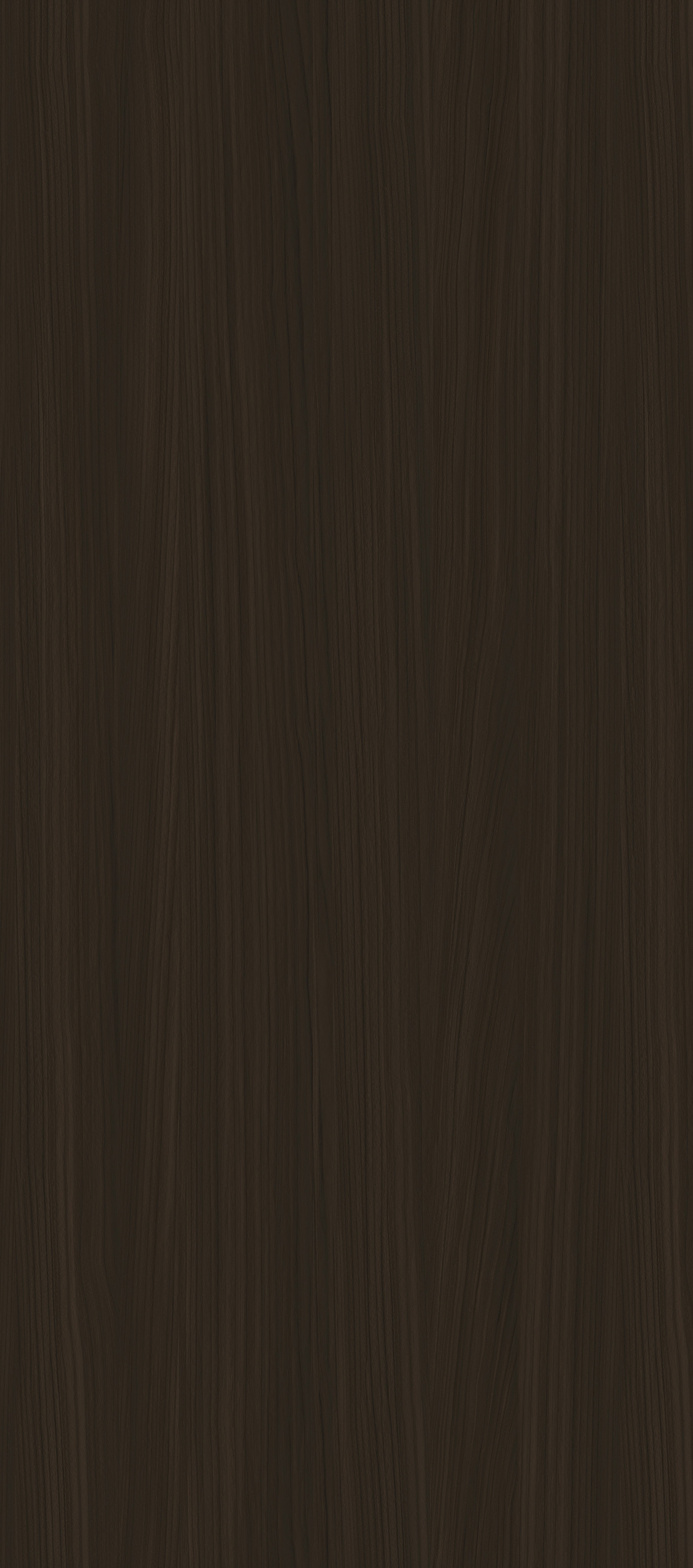 YDH552  蓝岭樱桃