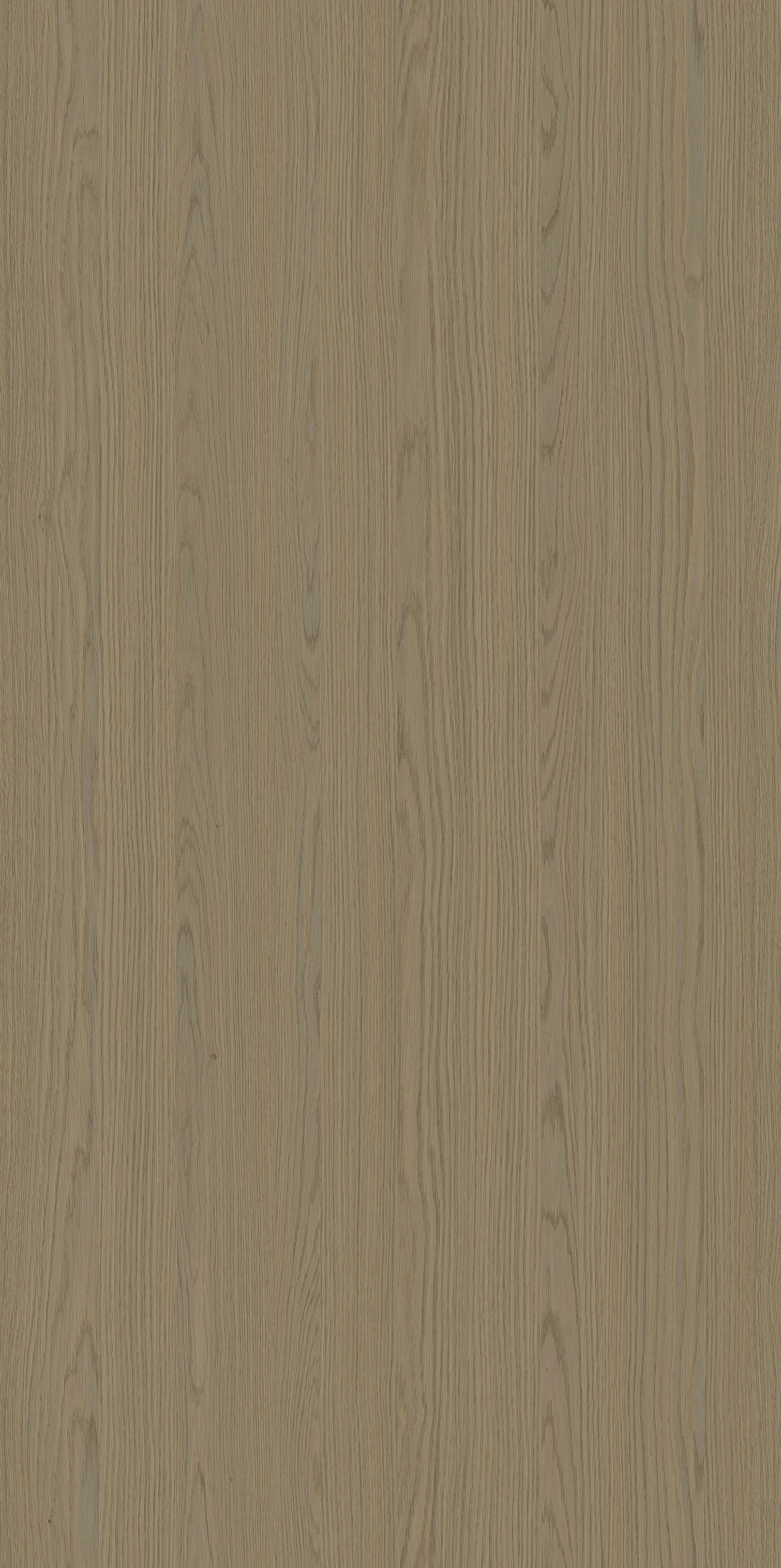 YDHTB1325  托莱多橡木